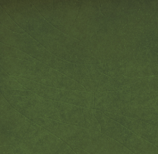 Emerald Green