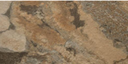 Stone Terra