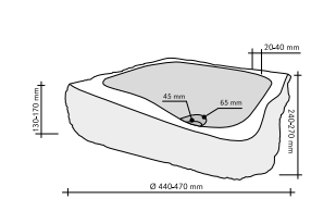 Fossil 