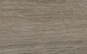 Elm