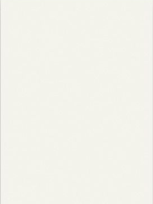 Titanium White