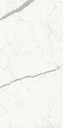 Bianco Venato Extra