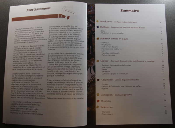 Manuel de Mosaïque Contemporaine