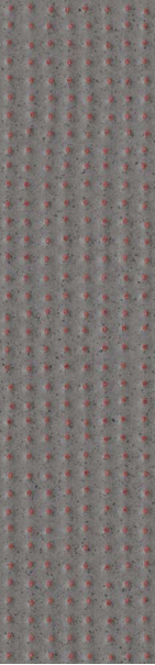 Red Dots Anthracite