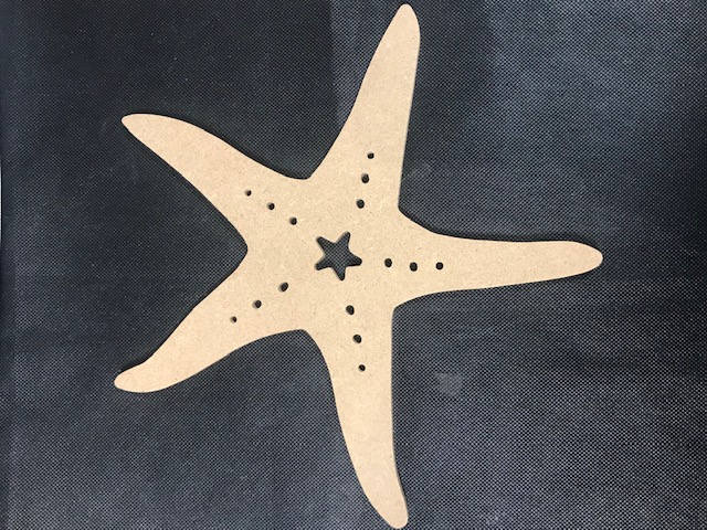 Etoile de mer -25x23 cm - N°18