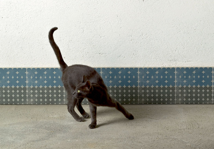 Grés Cérame Emaillé Azulej Trevo, 20 x 20 cm, Vendu au m², 1 Bte = 0.96 m²