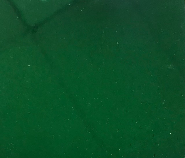 Miroir Coloré  - Vert Lisse- 10 x 10 cm