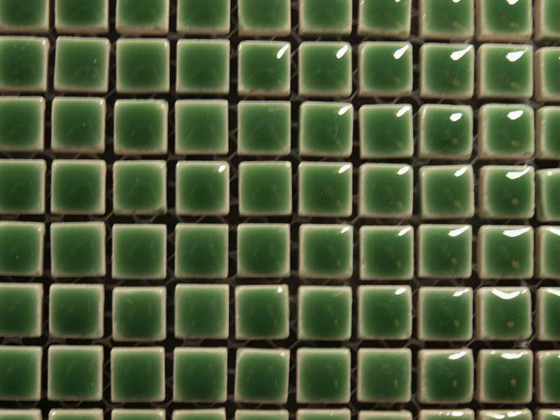 Micro Emaillée 9 x 9 mm n°25 Vert Amazonie