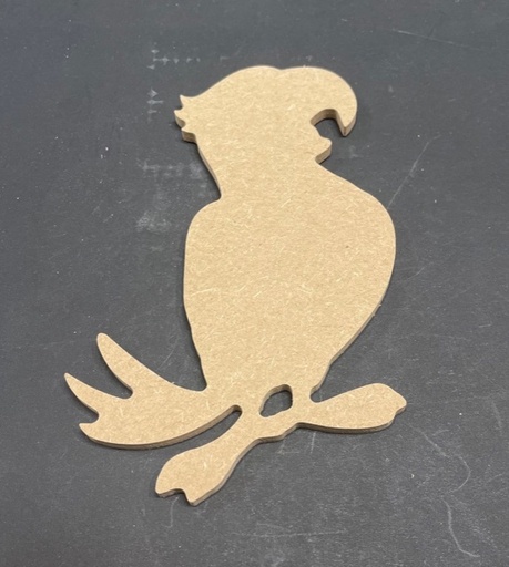 [1407] Perroquet 11 x 15 cm