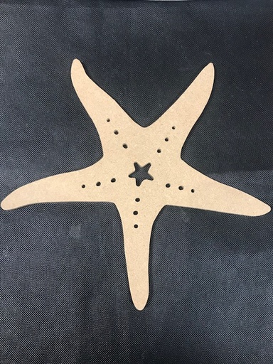 [4220] Etoile de mer -25x23 cm - N°18