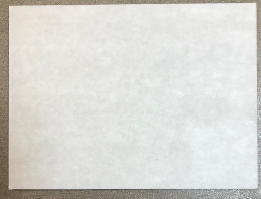 Support Carton 15 x 20 cm , Lot de 10 .