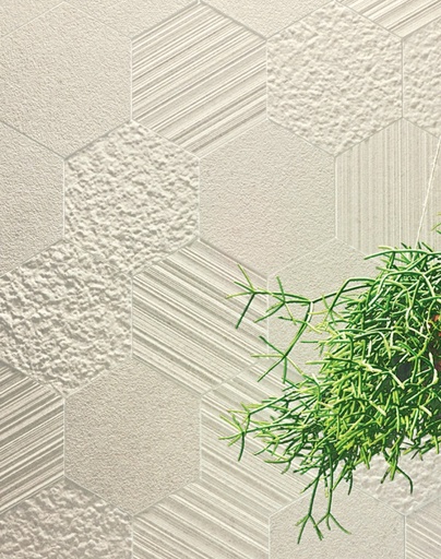 Grès Cérame Otto Esagona, 22.5 x 19.5 cm, ep. 10 mm, Vendu au m², 1 Bte = 0.62 m²